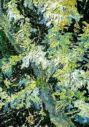 Vincent Van Gogh blommande akaciagrenar France oil painting artist